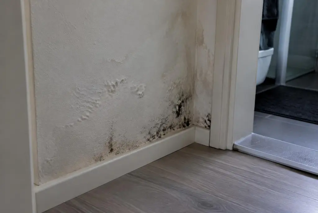 Lekdetectie Uitgeest – vochtplek met schimmel op een muur